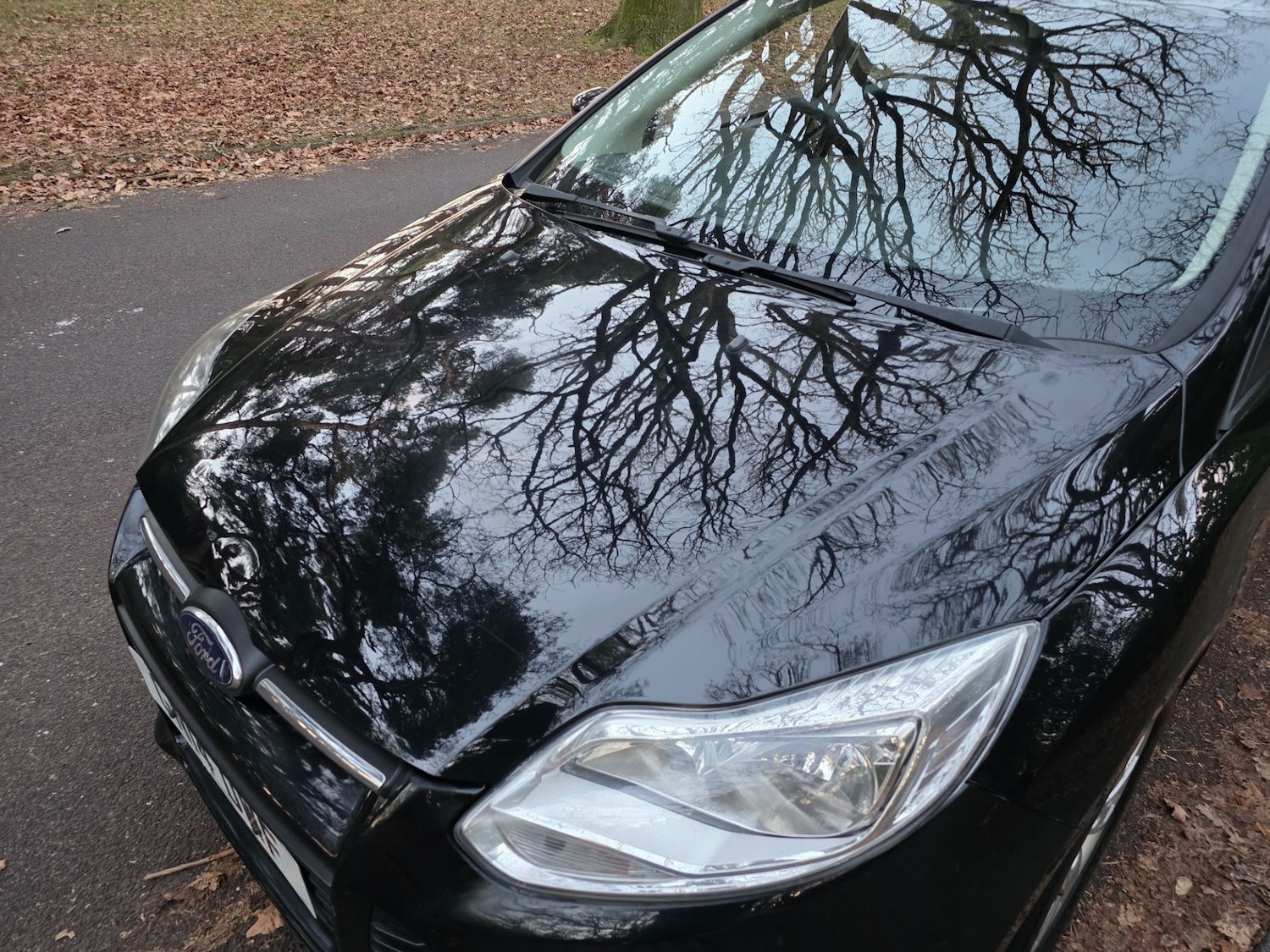 Used Ford Focus 2014 for sale - 77094352: Photo 45