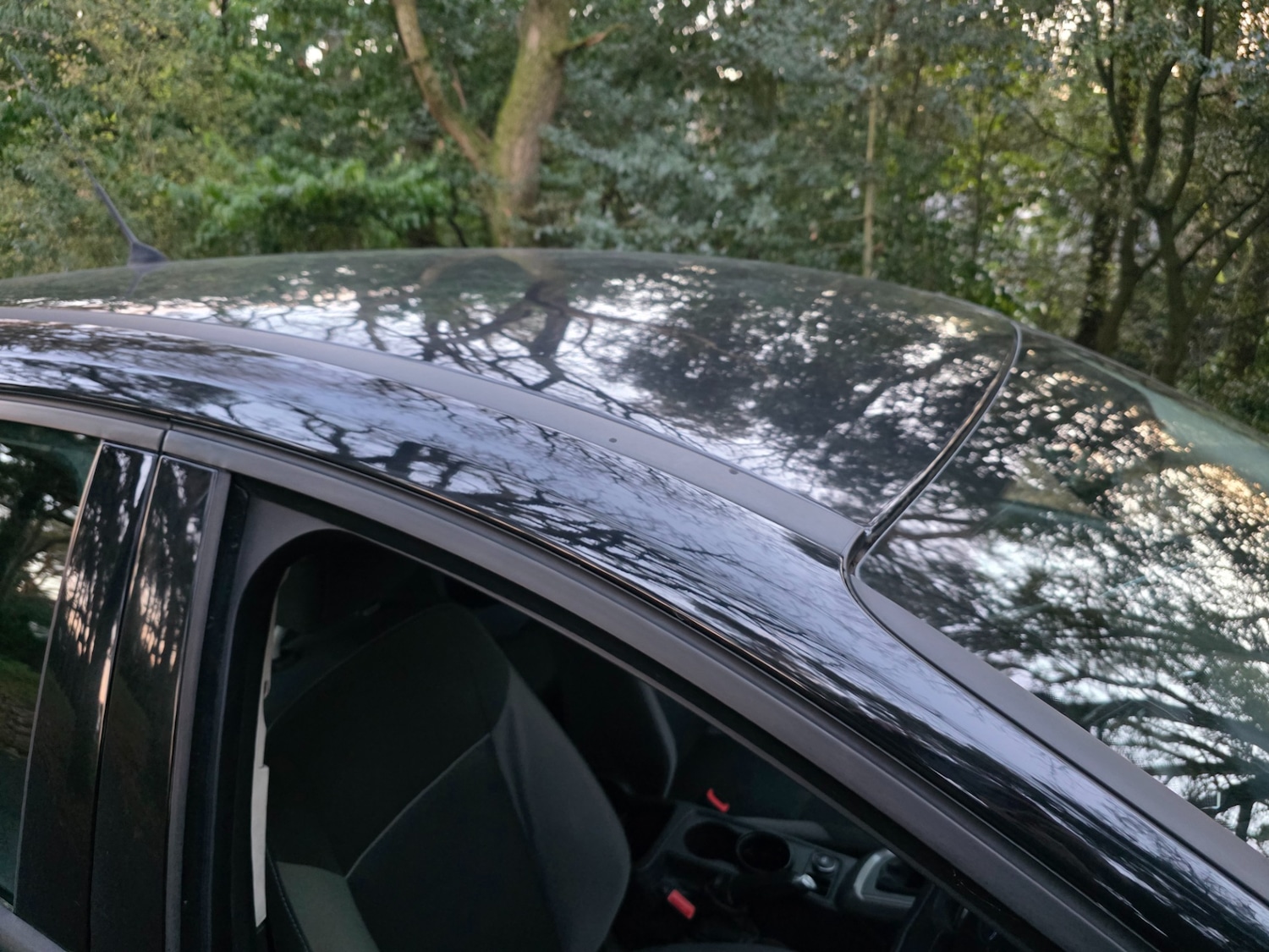 Used Ford Focus 2014 for sale - 77094352: Photo 49