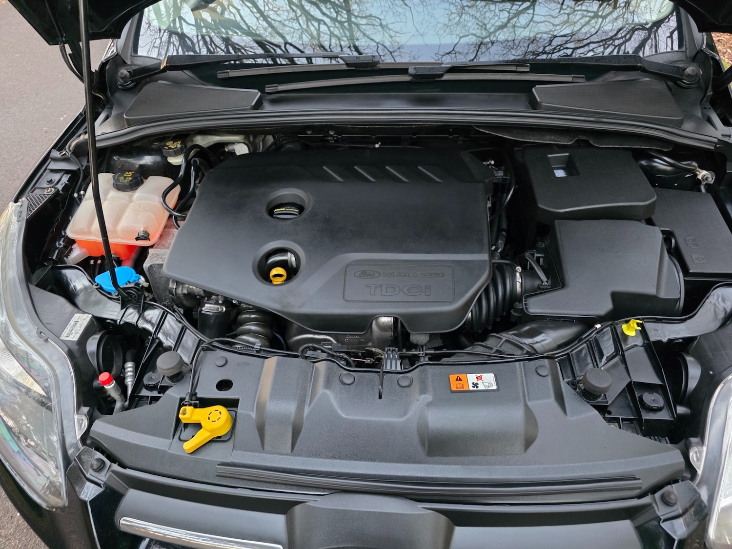 Used Ford Focus 2014 for sale - 77094352: Photo 51