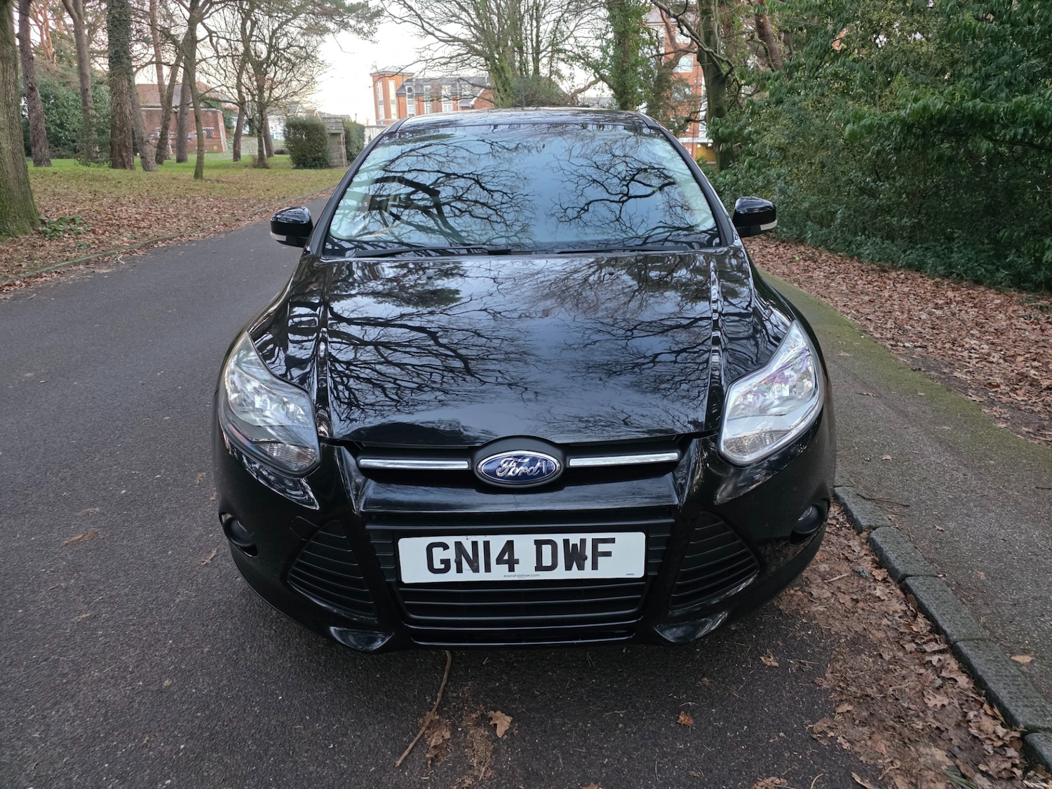 Used Ford Focus 2014 for sale - 77094352: Photo 8