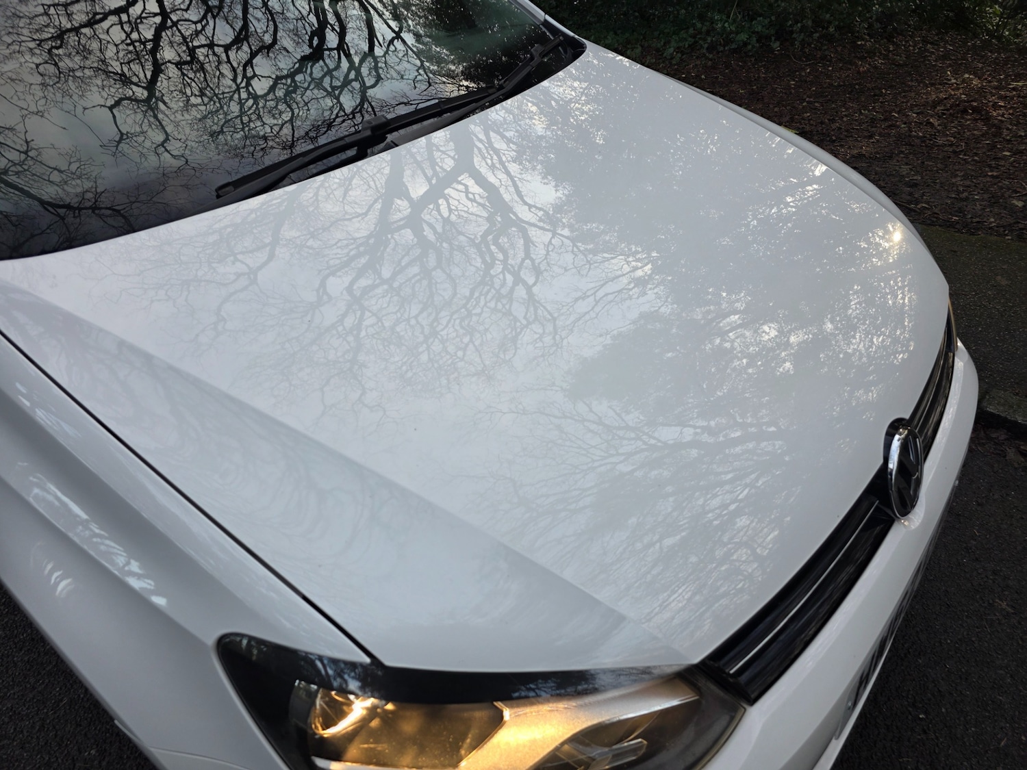 Used Volkswagen Polo 2012 for sale - 77700793: Photo 46