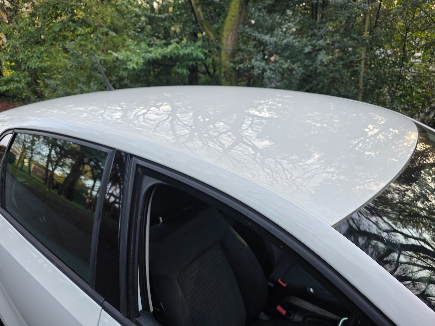 Used Volkswagen Polo 2012 for sale - 77700793: Photo 51