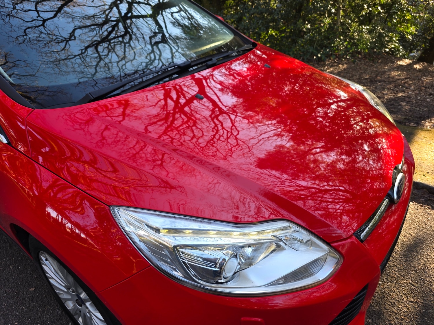 Used Ford Focus 2013 for sale - 77916178: Photo 52