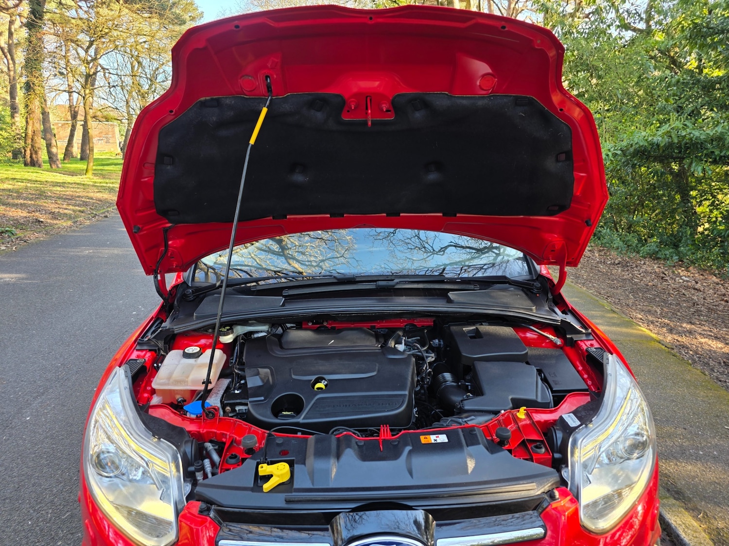 Used Ford Focus 2013 for sale - 77916178: Photo 63