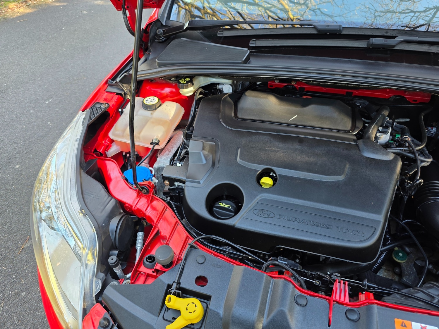 Used Ford Focus 2013 for sale - 77916178: Photo 65