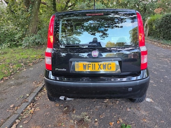 Used Fiat Panda 2011 for sale - 76017314: Photo