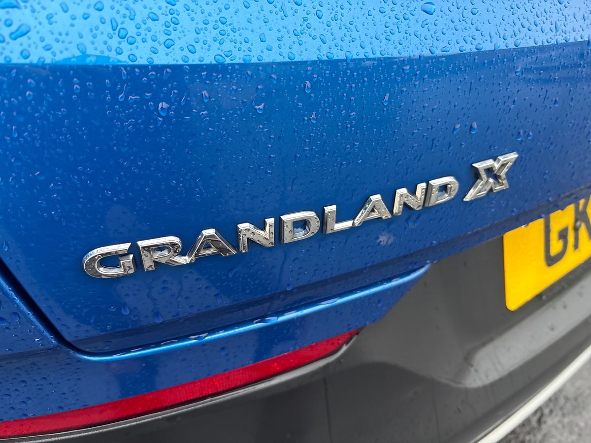 Used Vauxhall Grandland X 2019 for sale - 76128246: Photo 28