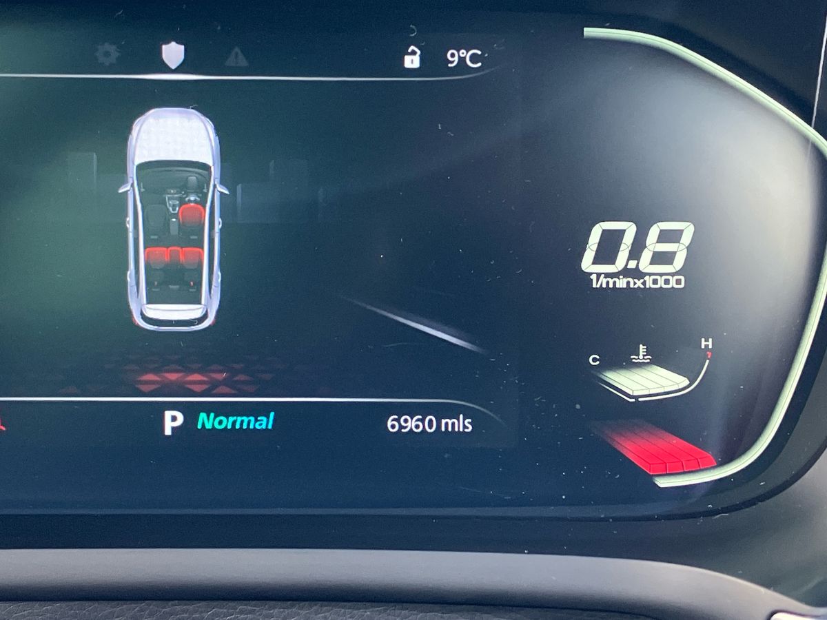 Used MG MG HS 2023 for sale - 77460771: Photo 39