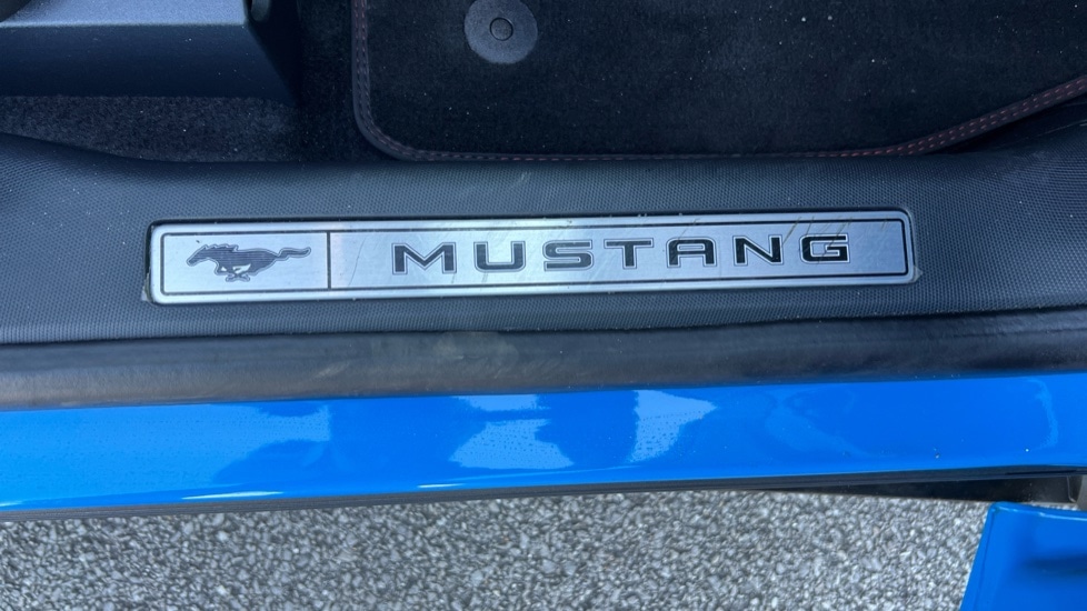 Used Ford Mustang Mach-E 2024 for sale - 76773423: Photo 45