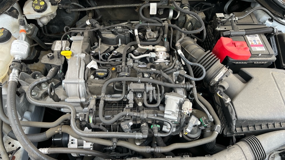 Used Ford Focus 2023 for sale - 77031468: Photo 16