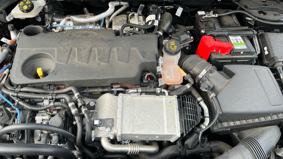 Used Ford Kuga 2022 for sale - 76873422: Photo 16