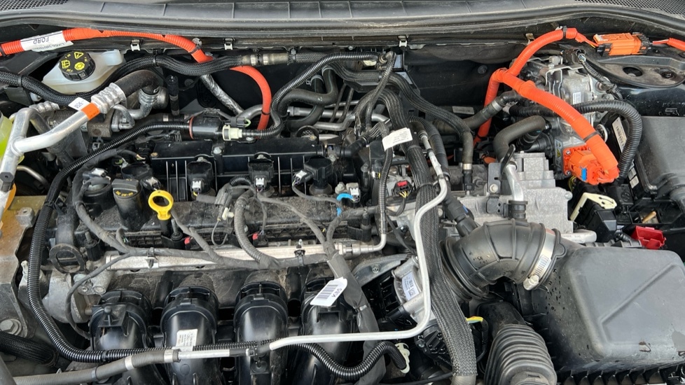 Used Ford Kuga 2022 for sale - 76894575: Photo 16