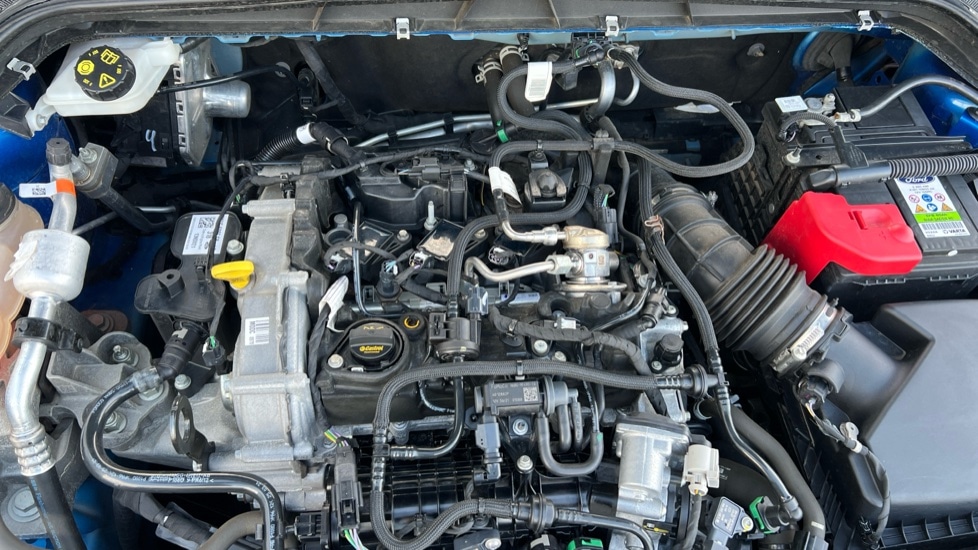 Used Ford Focus 2022 for sale - 76999483: Photo 16