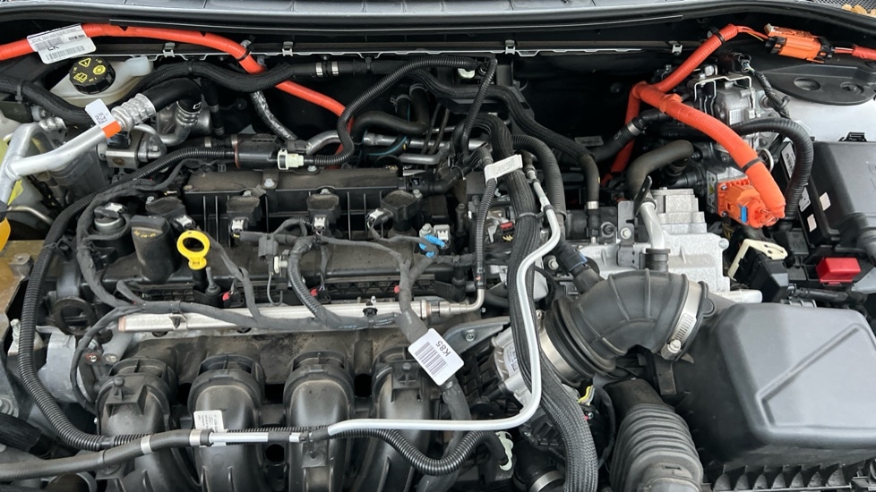 Used Ford Kuga 2023 for sale - 77031481: Photo 16