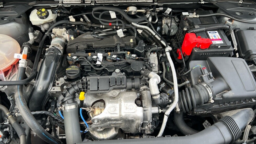 Used Ford Kuga 2022 for sale - 75921937: Photo 16