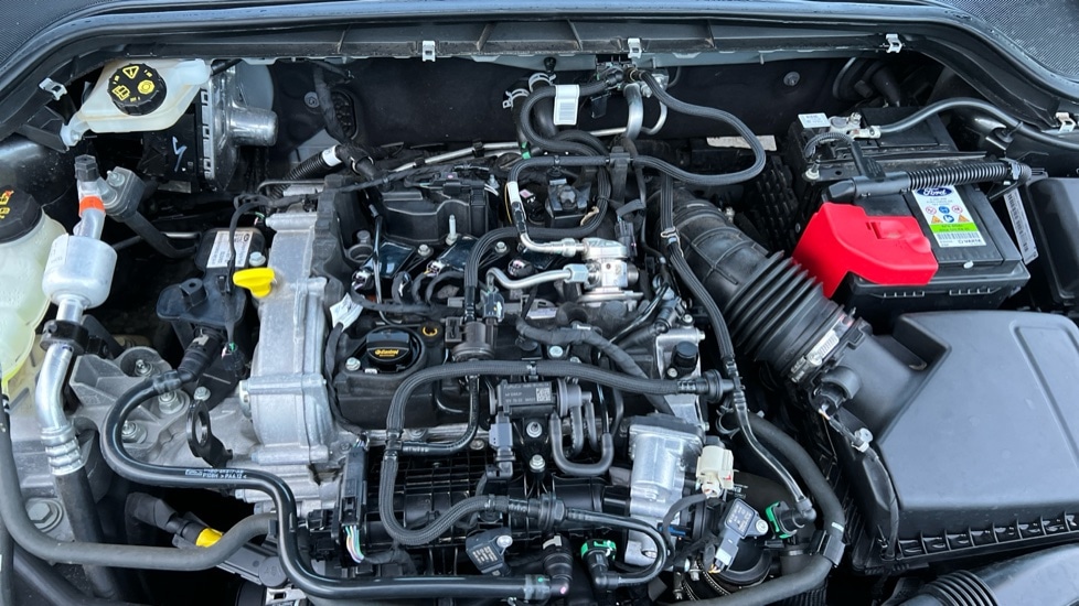 Used Ford Focus 2023 for sale - 76977819: Photo 16