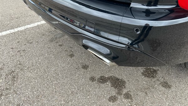 Used Ford Kuga 2022 for sale - 76254986: Photo 38