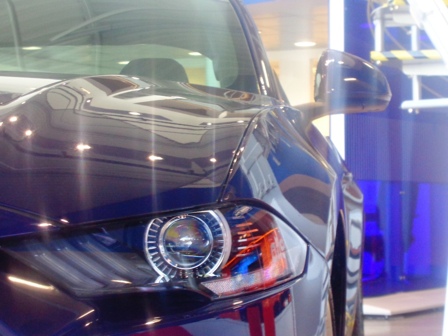 Used Ford Mustang for sale - 54010771: Photo 10