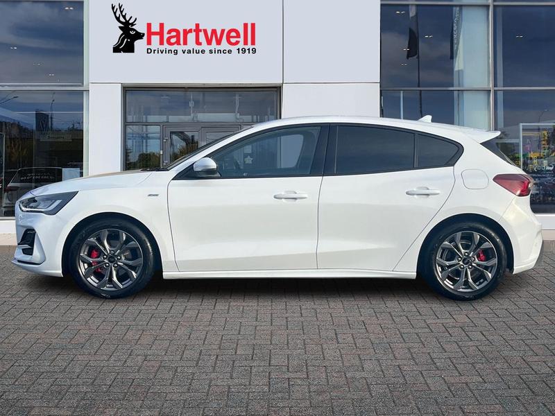 Used Ford Focus 2024 for sale - 77100721: Photo 7