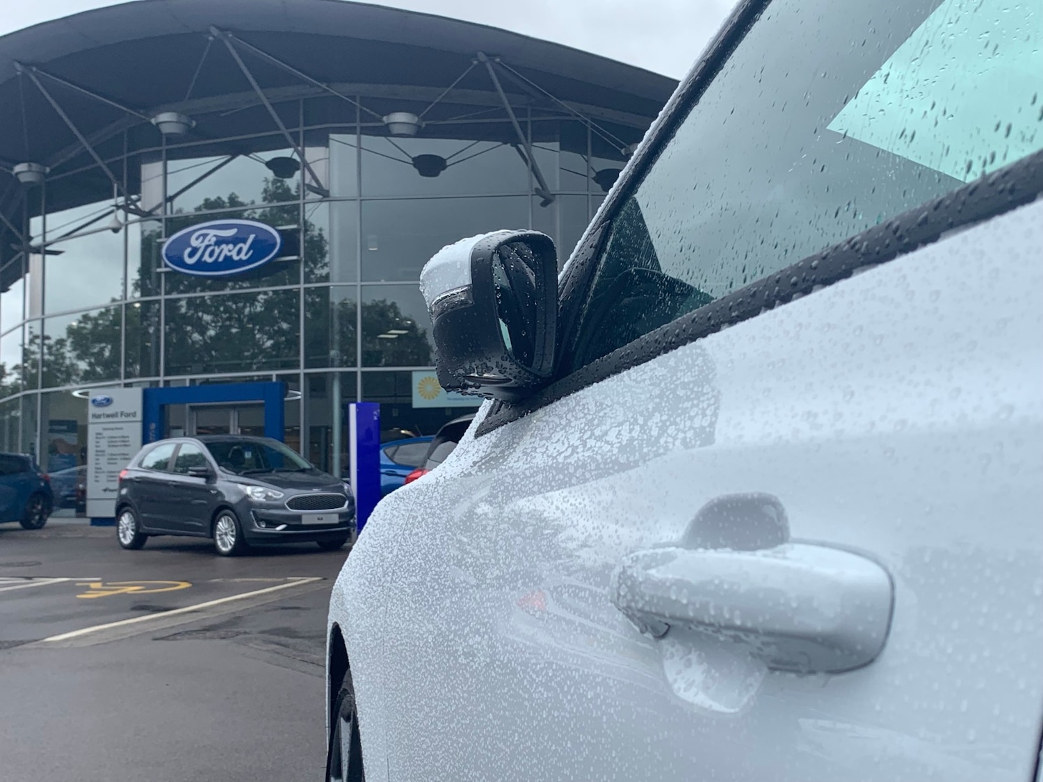 Used Ford Focus for sale - 54853192: Photo 10