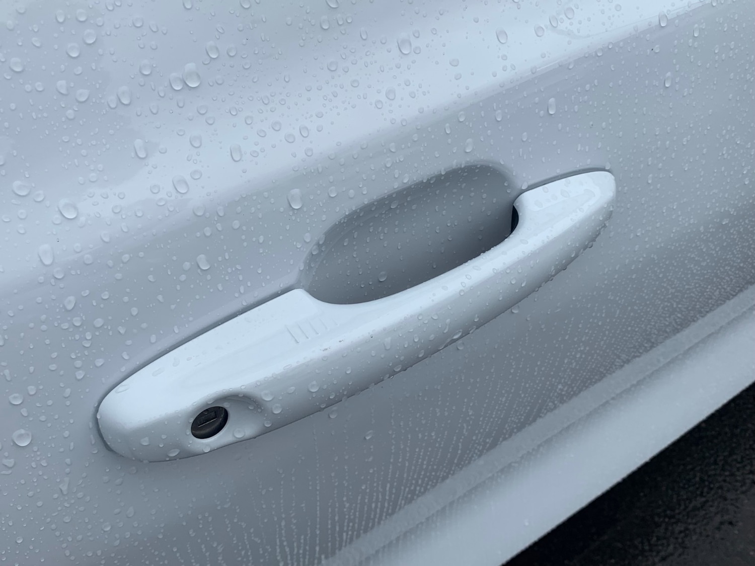 Used Ford Focus for sale - 54853192: Photo 9