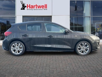 Used Ford Focus 2023 for sale - 77186981: Photo