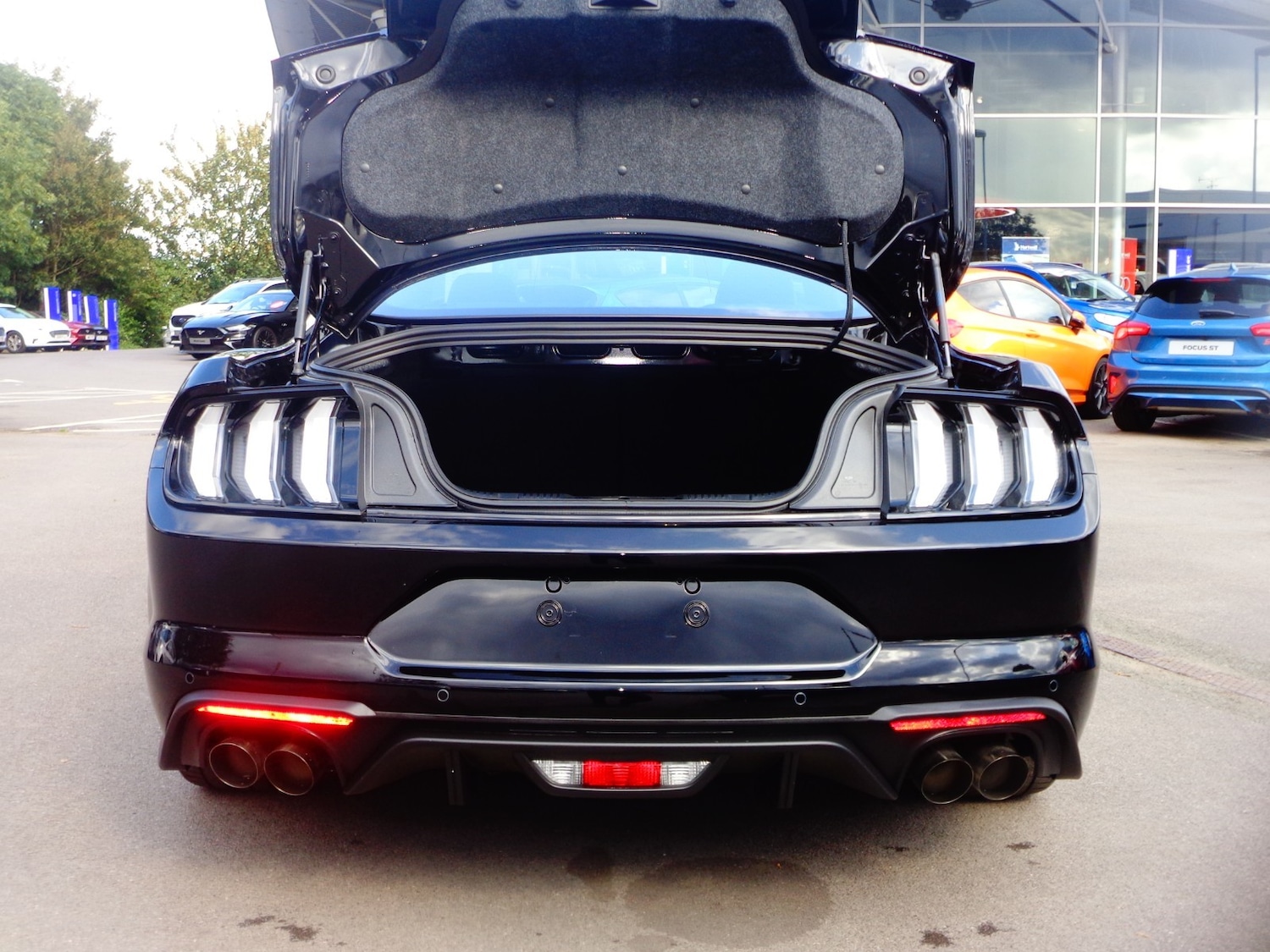Used Ford Mustang for sale - 54010772: Photo 8