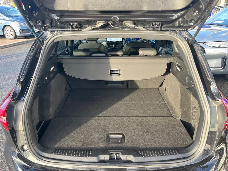 Used Ford Focus 2023 for sale - 77233707: Photo 19