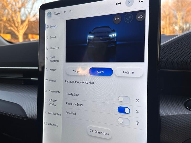 Used Ford Mustang Mach-E 2022 for sale - 76835734: Photo 19