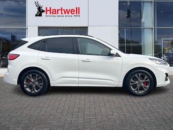 Used Ford Kuga 2024 for sale - 77165734: Photo