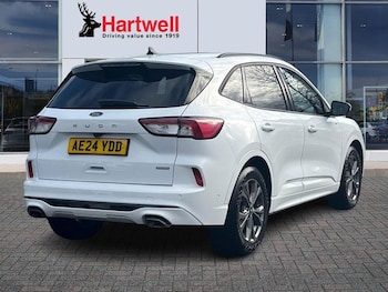 Used Ford Kuga 2024 for sale - 77165734: Photo