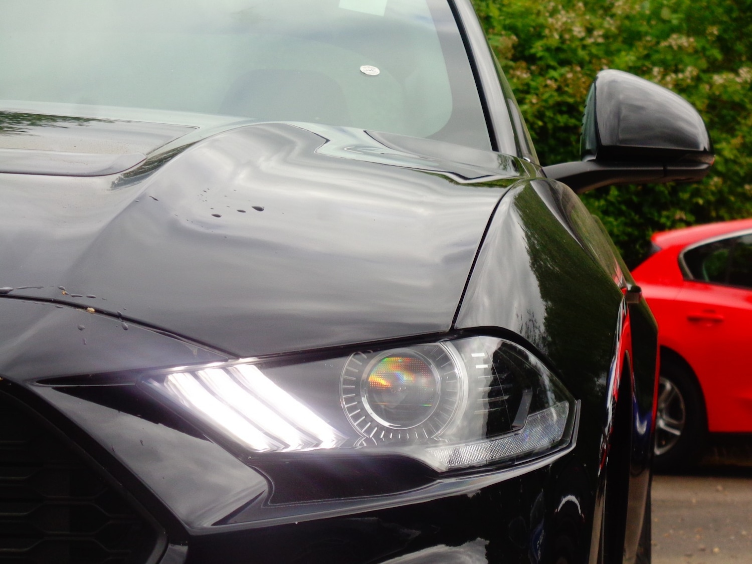 Used Ford Mustang for sale - 54010775: Photo 10