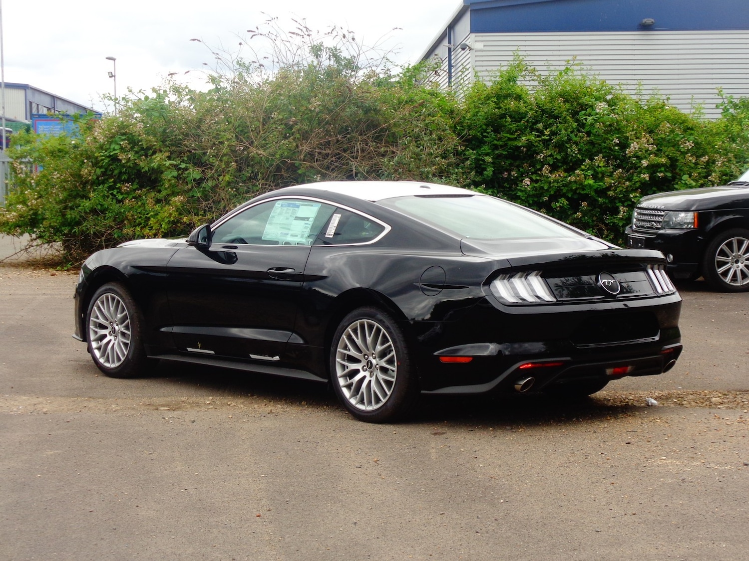 Used Ford Mustang for sale - 54010775: Photo 2