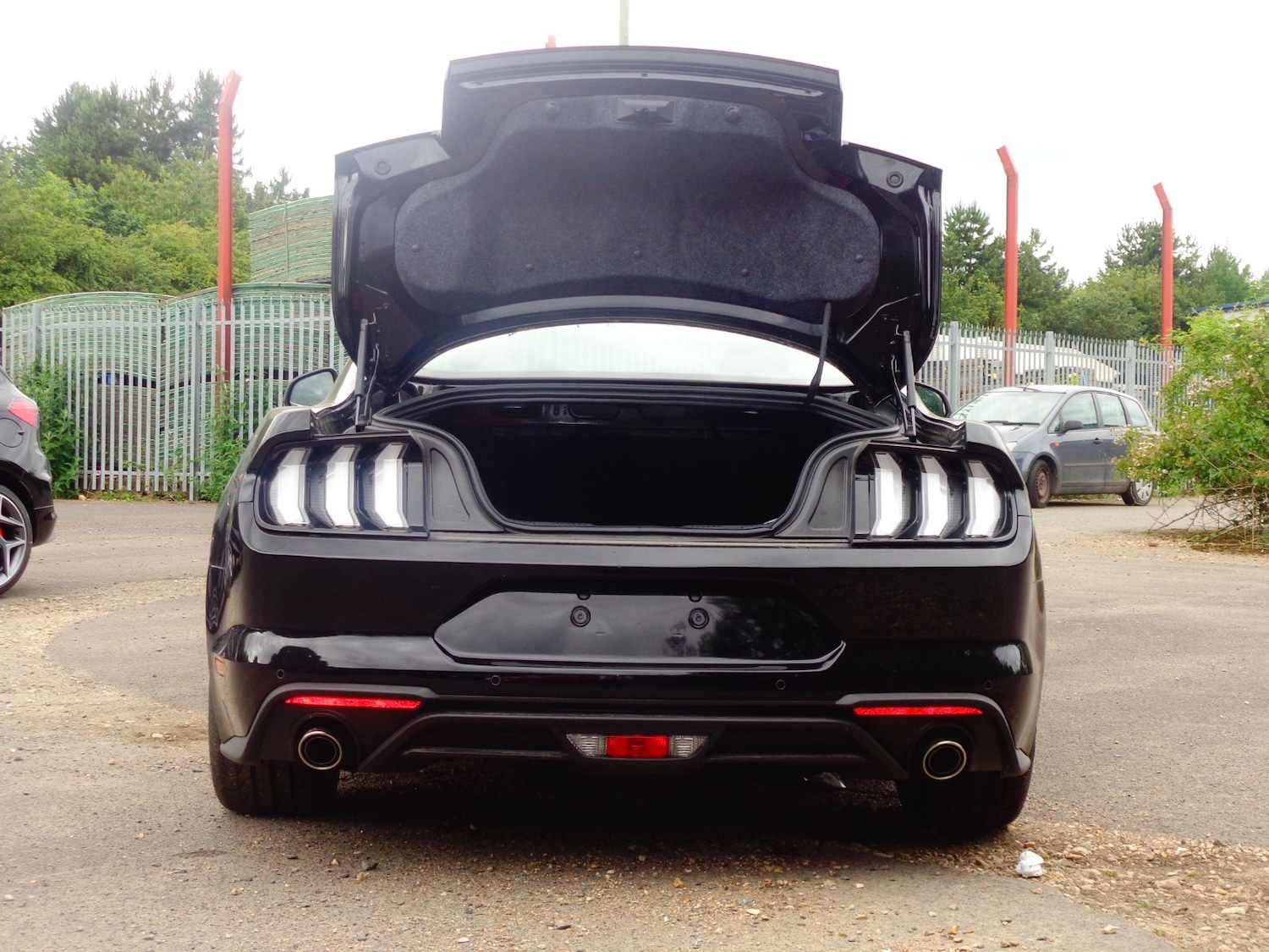 Used Ford Mustang for sale - 54010775: Photo 7