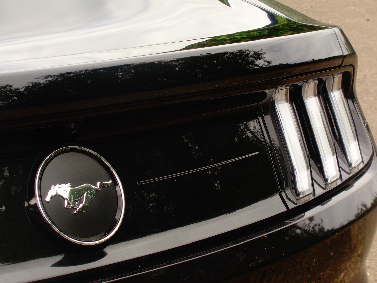 Used Ford Mustang for sale - 54010775: Photo 8