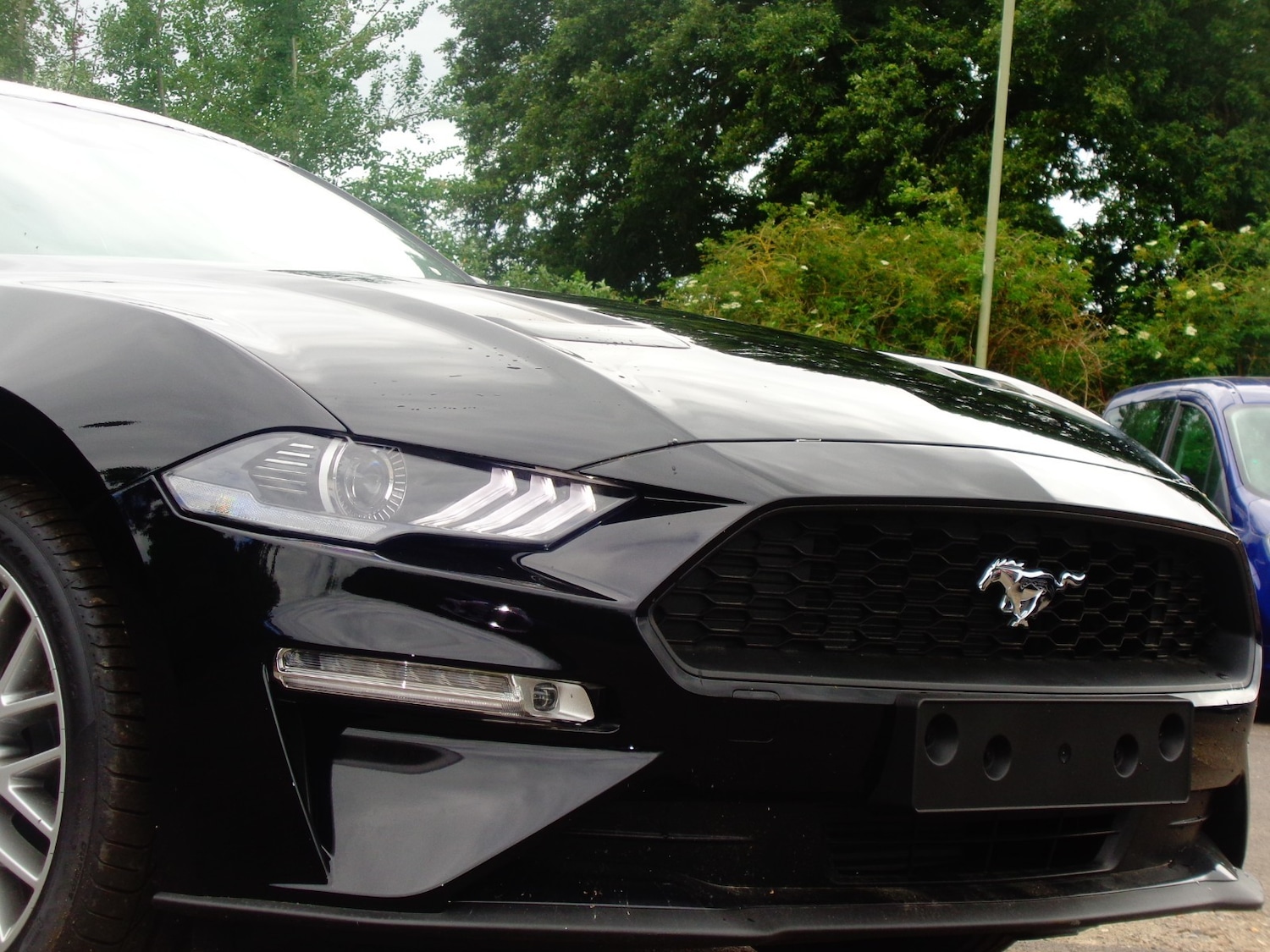 Used Ford Mustang for sale - 54010775: Photo 9