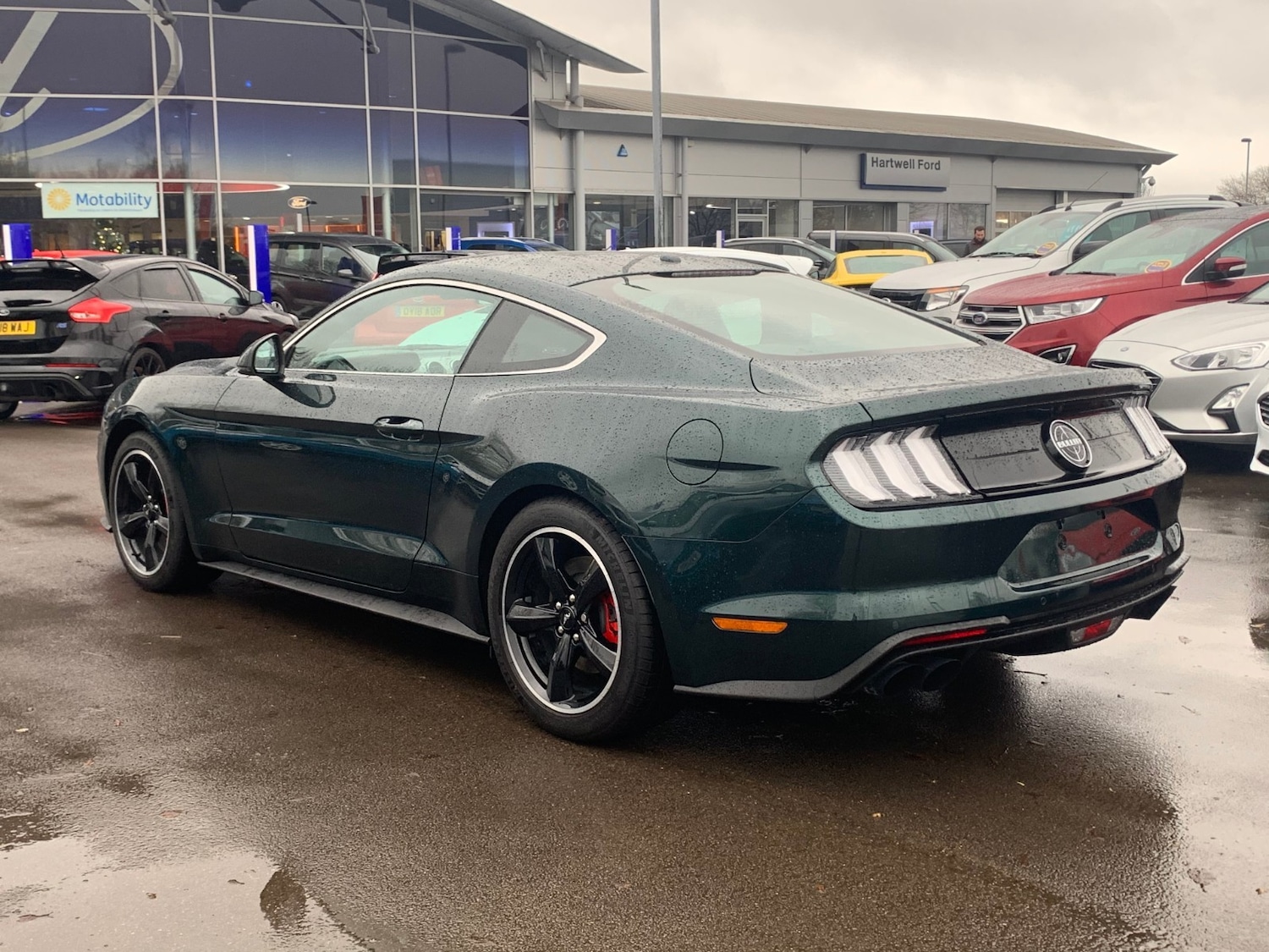 Used Ford Mustang for sale - 55604476: Photo 2