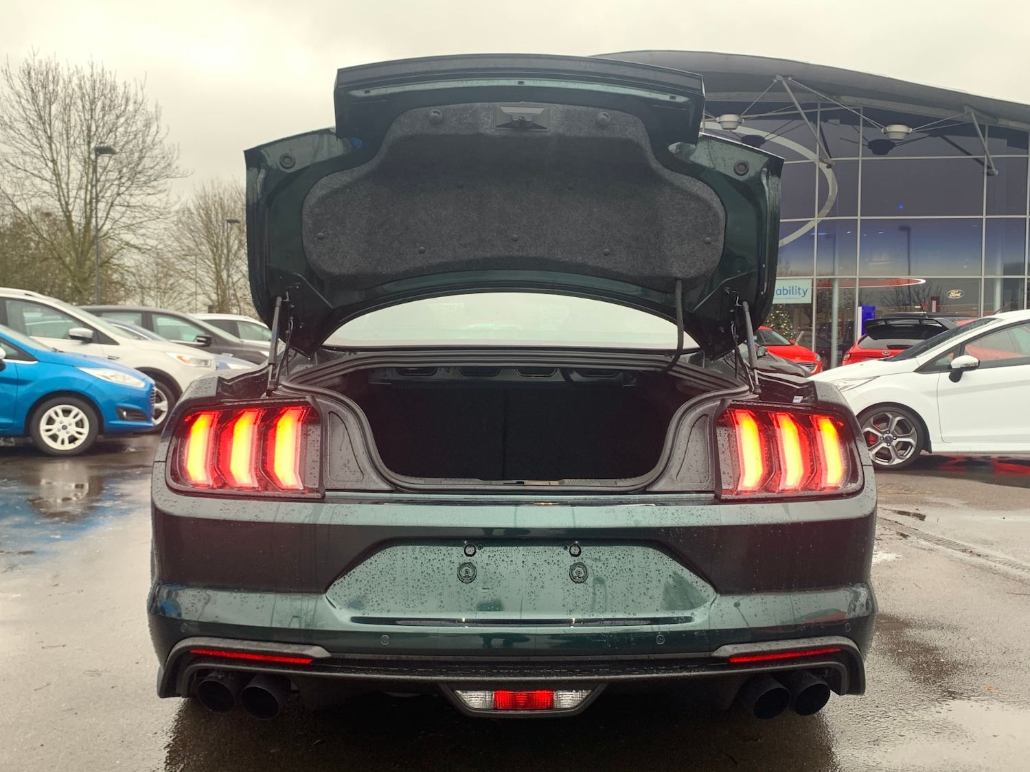 Used Ford Mustang for sale - 55604476: Photo 9