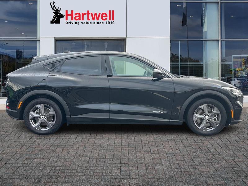 Used Ford Mustang Mach-E 2024 for sale - 77310590: Photo 2