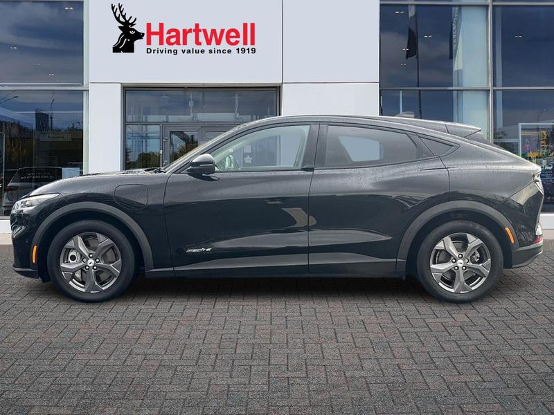 Used Ford Mustang Mach-E 2024 for sale - 77310590: Photo 7