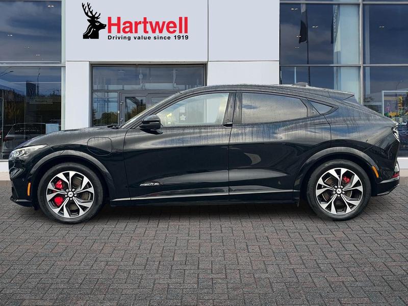 Used Ford Mustang Mach-E 2021 for sale - 77312659: Photo 7