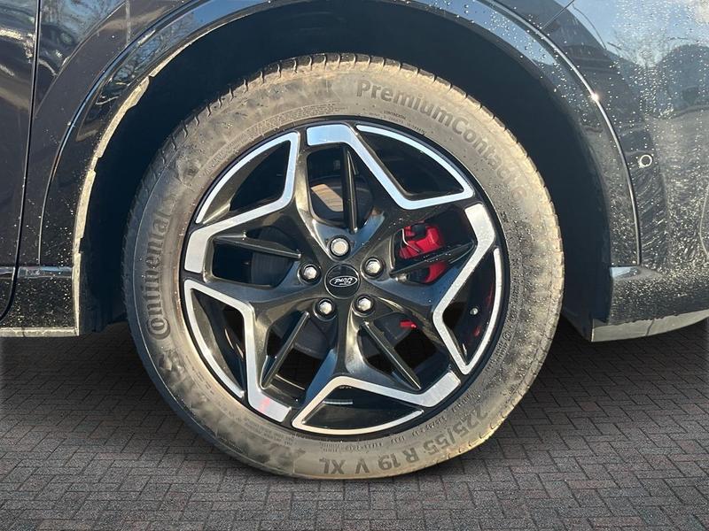 Used Ford Kuga 2024 for sale - 77248779: Photo 10