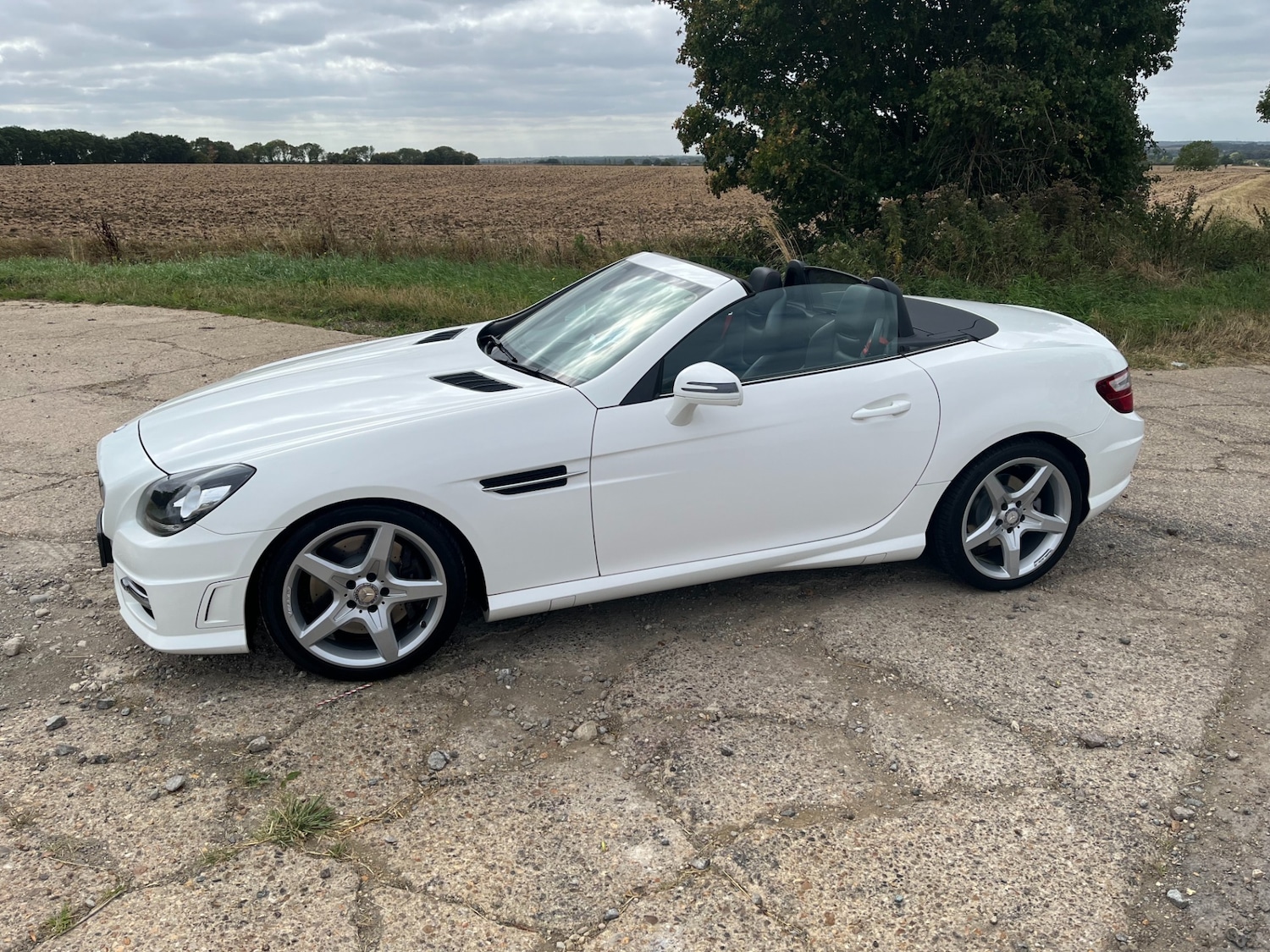 Used Mercedes-Benz SLK 2014 for sale - 76638688: Photo 25