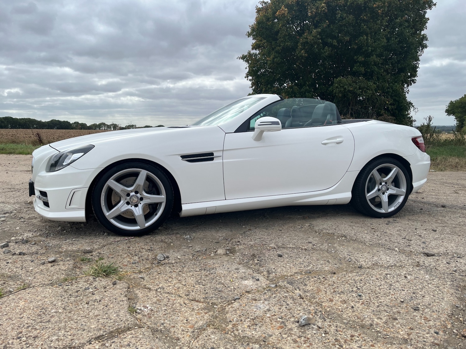 Used Mercedes-Benz SLK 2014 for sale - 76638688: Photo 26
