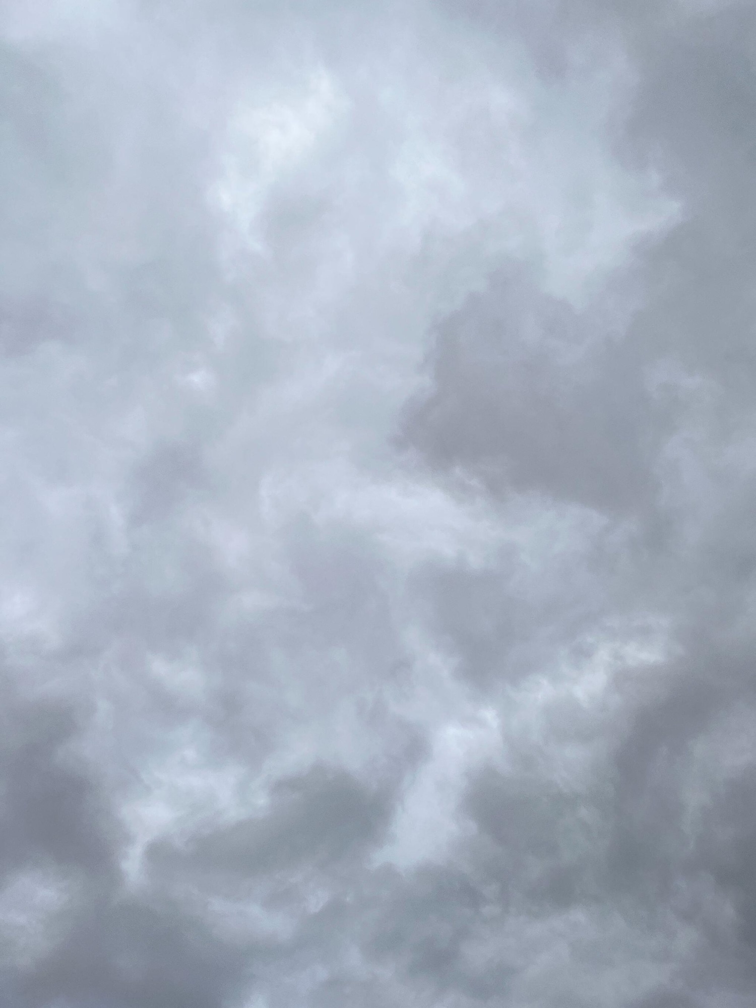 Used Citroen C1 2013 for sale - 76551990: Photo 10