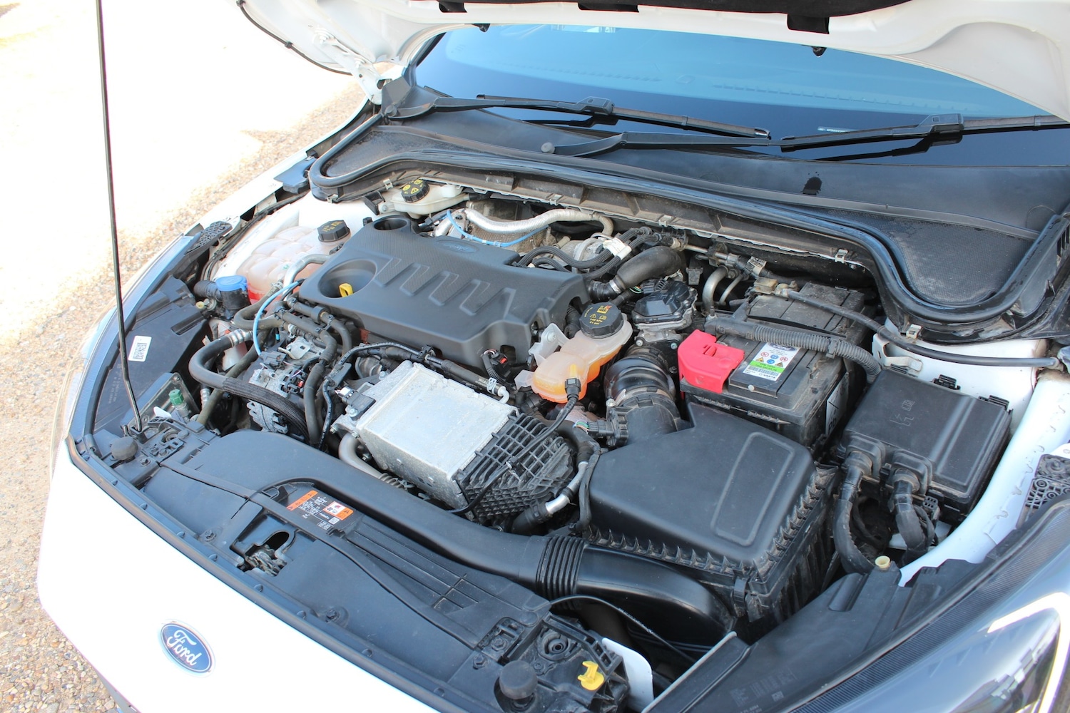 Used Ford Focus 2019 for sale - 77762230: Photo 40