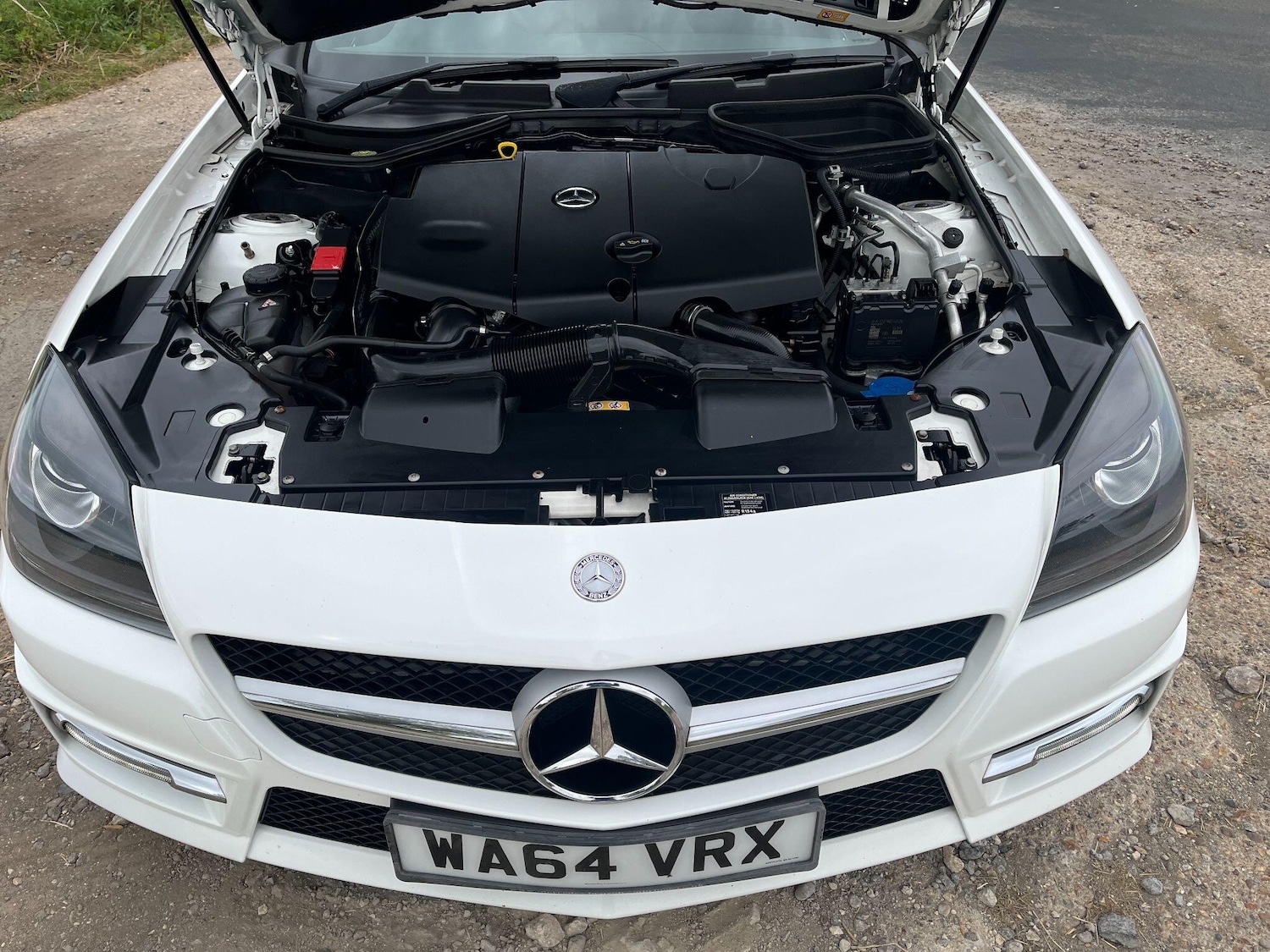 Used Mercedes-Benz SLK 2014 for sale - 76551997: Photo 16