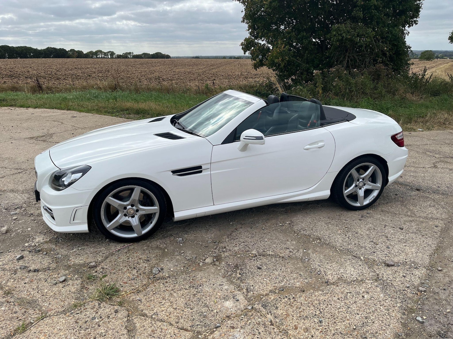 Used Mercedes-Benz SLK 2014 for sale - 76551997: Photo 24