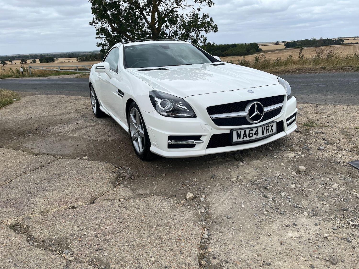 Used Mercedes-Benz SLK 2014 for sale - 76551997: Photo 3
