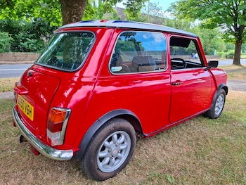 Used Austin Mini 1984 for sale - 79323637: Photo